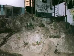 Calli Cintli - Amatlán