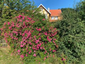 Roseneck am Neulandhof Spöring