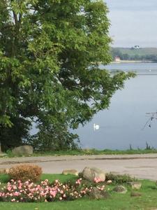 Ferienhaus am See Nähe Danzig Ostsee Kaschubische Schweiz