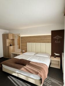 Double or Twin Room room in Guesthouse Aleš