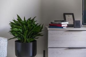 Creative 1br Pool view Apt with covered parking