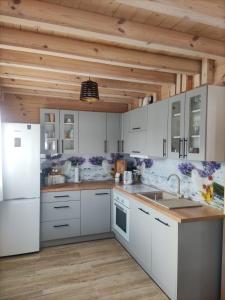 Agroturystyka Babuśkowe domki