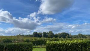 Maisons de vacances L'Eperonnette, cozy house with swimming pool, surrounded by vineyard, near St Emilion : photos des chambres