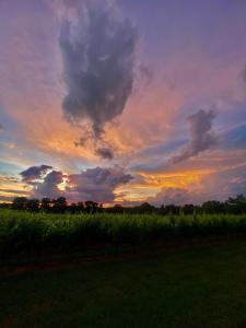 Maisons de vacances L'Eperonnette, cozy house with swimming pool, surrounded by vineyard, near St Emilion : photos des chambres