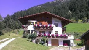 Haus Panorama - Scheibe