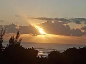 Utopia in Palm Beach - Portobello