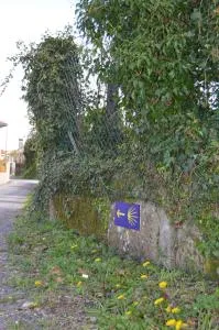 Casa Aurora - Picaraña