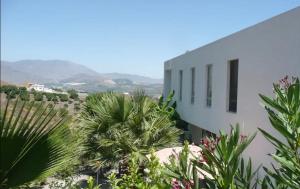 Todimer Casa Mexicana