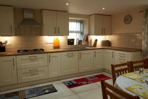 Cnwc Y Boidy Llangrannog