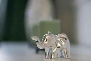 Sage Green Apartment Piotrkowska in Łódź by Noclegi Renters