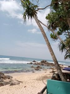 Sunny Seaside Haven