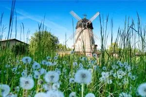 Gartenwohnung - Heichelheim