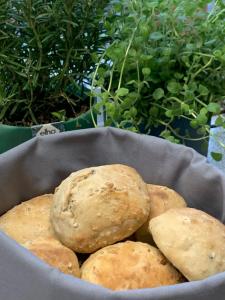 Bed & Breakfast “Den Gamle Lade I Hejls”