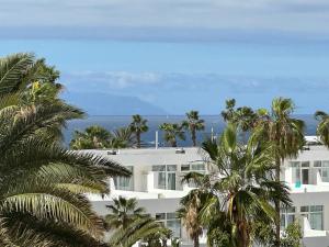 Coconut Apartament in Garden City