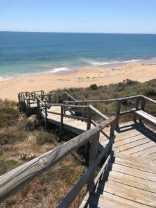 Falcon Estuary Escape