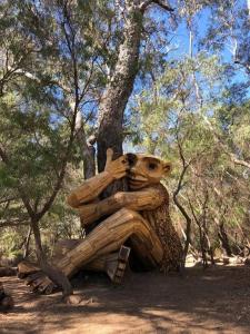 Falcon Estuary Escape