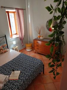 Domunua holiday house