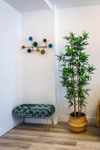 SUPREME & COMFORT - Apartment