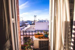 Alameda de Hércules - Peral