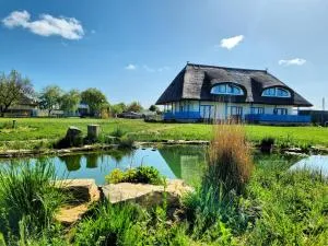 La Iaz - 杜纳厄图德乔斯