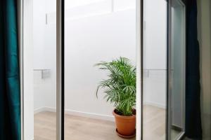 Viviendas El Pescador - Vela