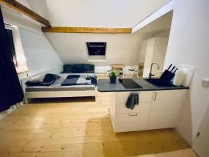 Kinderklinik Dachwohnung - Signal Hill 1A - 锡根