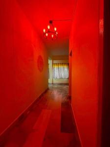 Beautiful 2bhk centrally located with free parking