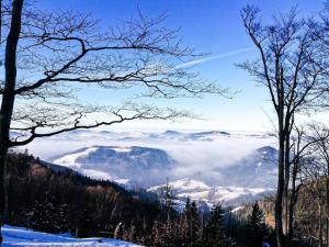 Almhütte in Alleinlage OFFGRID