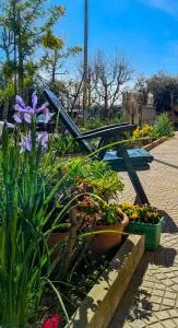 Collelauro4 - Camerano