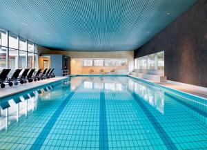 Soldanella by Hotel Adula