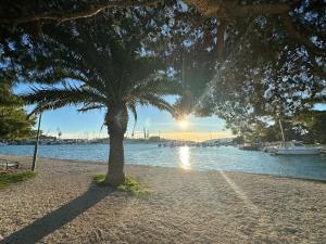 Vila Zrina - Apartmani