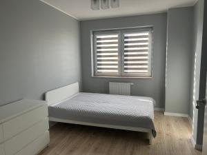 Apartament Gwiazdowa