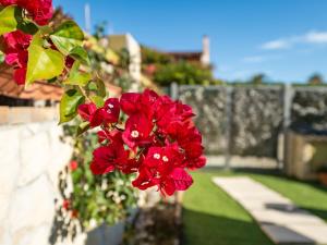 Apartment Porru by Interhome img20