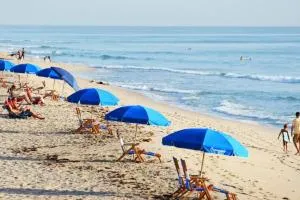 Life's a Beach - Lake Worth