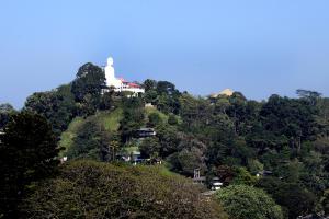 Green Bird Villas