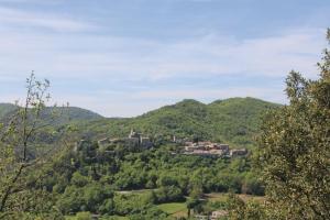 Maisons de vacances La Maison dans Les Pins Ardeche : photos des chambres