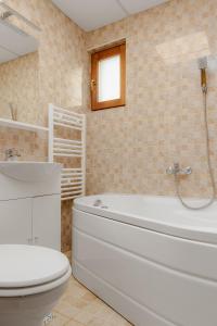 Business Transit to Therme & Airport , Free Parking