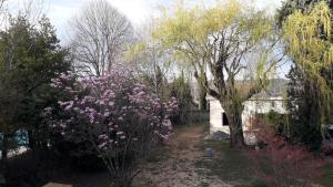 L Abri du Saule