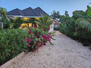 Blossom House Zanzibar