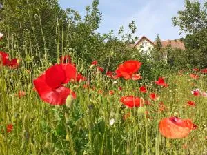 Roseneck am Neulandhof Spöring - Böhme
