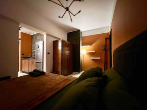 Pop-art studio in Zamalek (no visits)