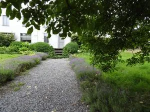 Ô lit de l'Ourthe guesthouses - Monville