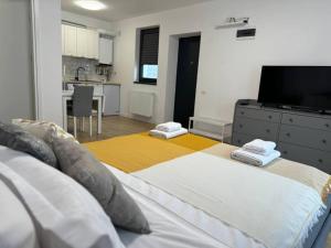 Sky Residence Airport Therme Otopeni 2