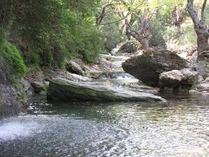 Karystos Mare Apartments