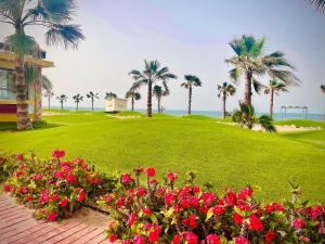 غرفه وصاله علوى منتجع بورتو سعيد A room and a hall, Porto Said Resort