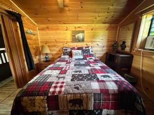Cozy Cabin Walking Distance to Parkway!