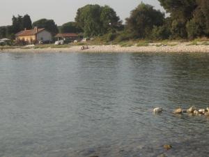 Holiday house with a swimming pool Barbariga, Fazana - 22763 