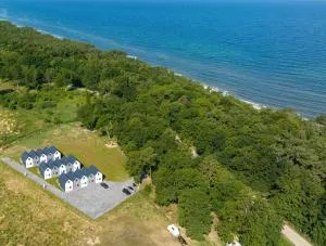 Morski Las - 辛安诺泽蒂