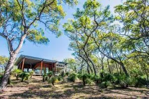 Grasstree 26 - Sunrise at 1770 - Deepwater