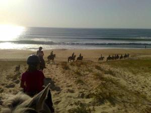 Villas Villa T4 avec 3 Chambres, Terrasse, et Proche de l'Ocean – Animaux Acceptes - FR-1-379-145 : Villa